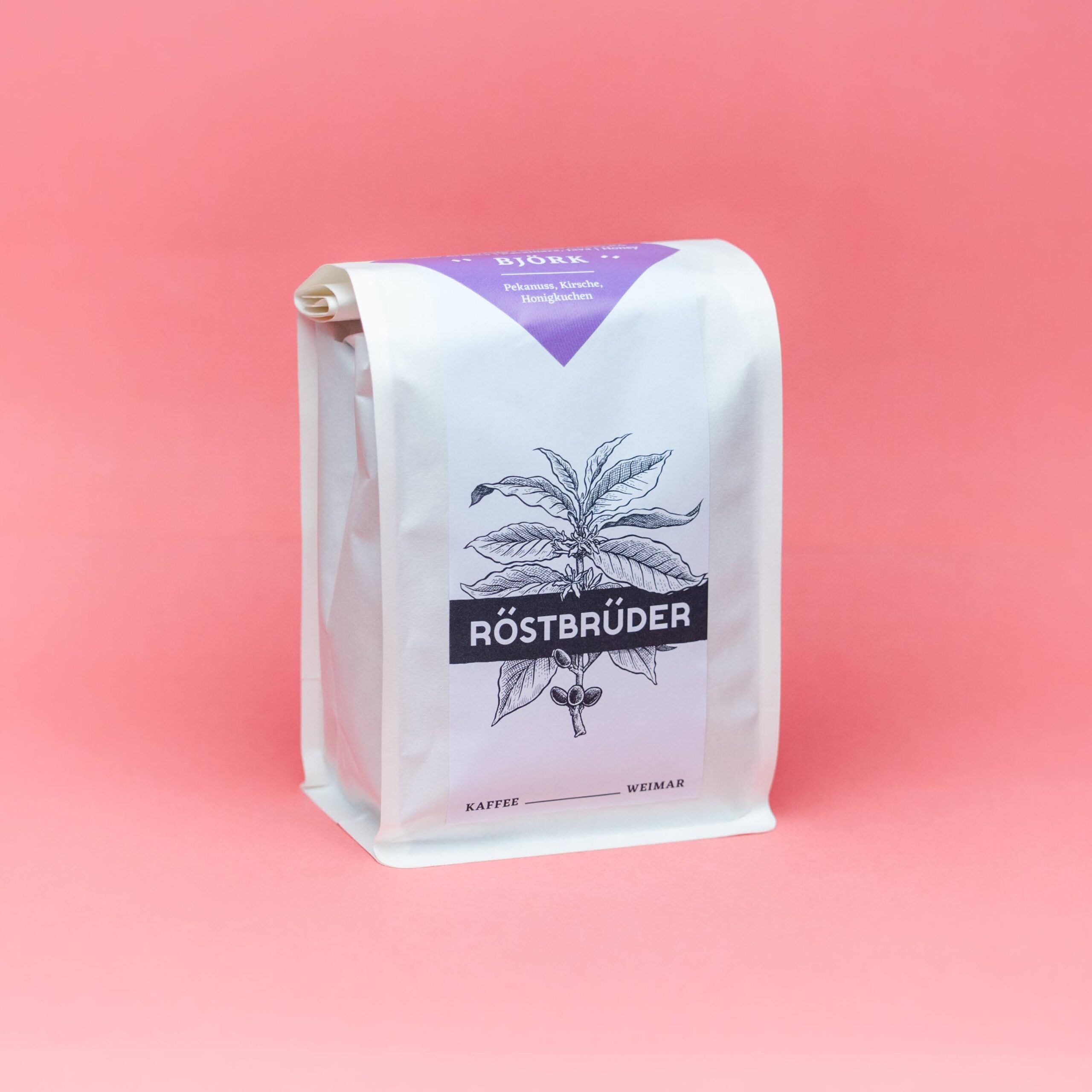 Björk, Kaffeebohnen, Bolivien, Specialty Coffee, handgeröstet
